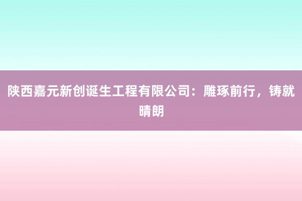 陕西嘉元新创诞生工程有限公司：雕琢前行，铸就晴朗