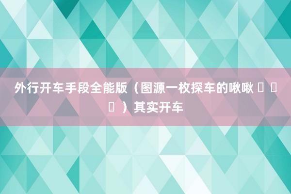 外行开车手段全能版（图源一枚探车的啾啾 ​​​）其实开车