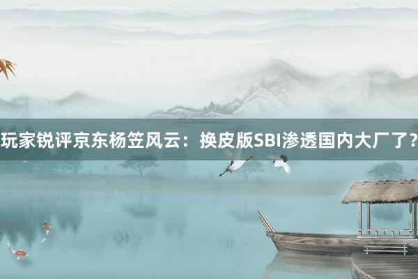 玩家锐评京东杨笠风云：换皮版SBI渗透国内大厂了？