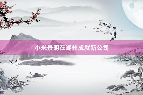 小米景明在湖州成就新公司