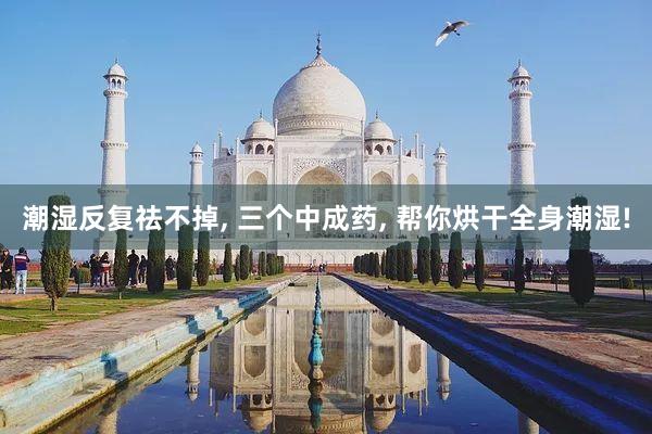 潮湿反复祛不掉, 三个中成药, 帮你烘干全身潮湿!