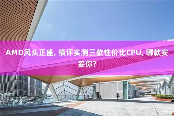 AMD风头正盛, 横评实测三款性价比CPU, 哪款安妥你?
