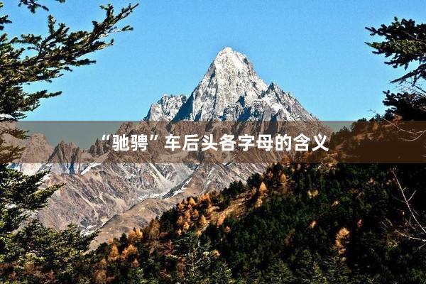 “驰骋”车后头各字母的含义
