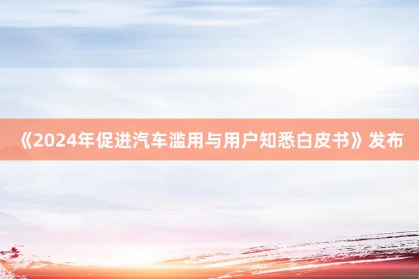《2024年促进汽车滥用与用户知悉白皮书》发布