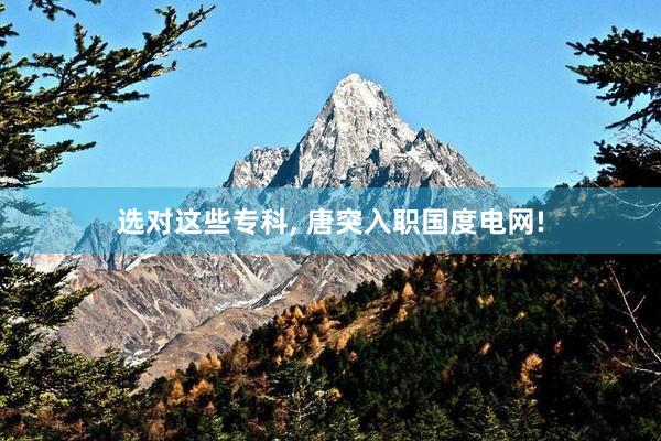 选对这些专科, 唐突入职国度电网!