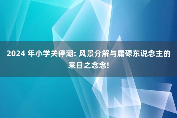 2024 年小学关停潮: 风景分解与庸碌东说念主的来日之念念!
